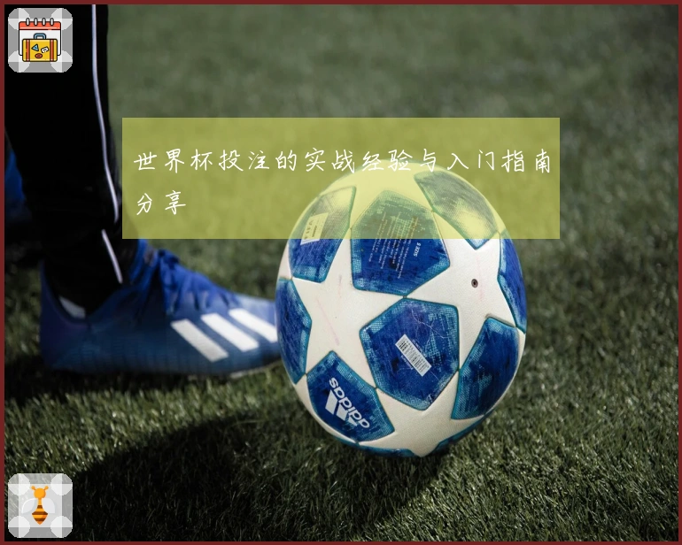 世界杯投注的实战经验与入门指南分享