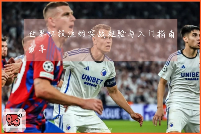 世界杯投注的实战经验与入门指南分享